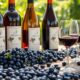 top blueberry wines guide