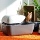 top cat litter boxes