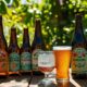 top health conscious non gmo beers