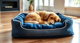 top dog beds 2025