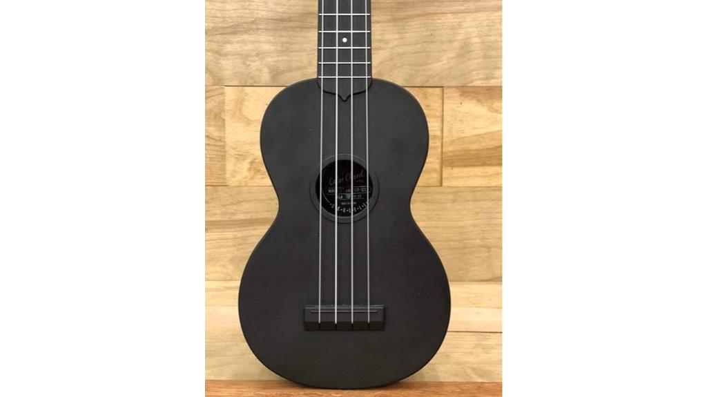 colorful ukulele beginner kit