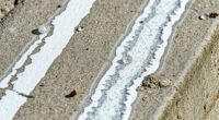 combat calcium efflorescence weir