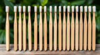 eco friendly bamboo toothbrushes