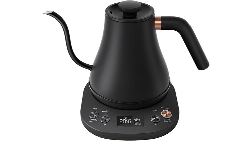 electric kettle with temperature