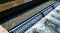 placement strategies for weirs