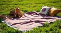 stylish and comfy picnic blankets