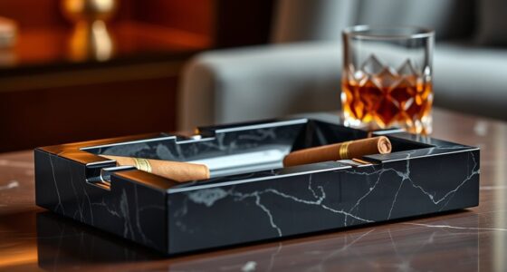 top stylish cigar ashtrays