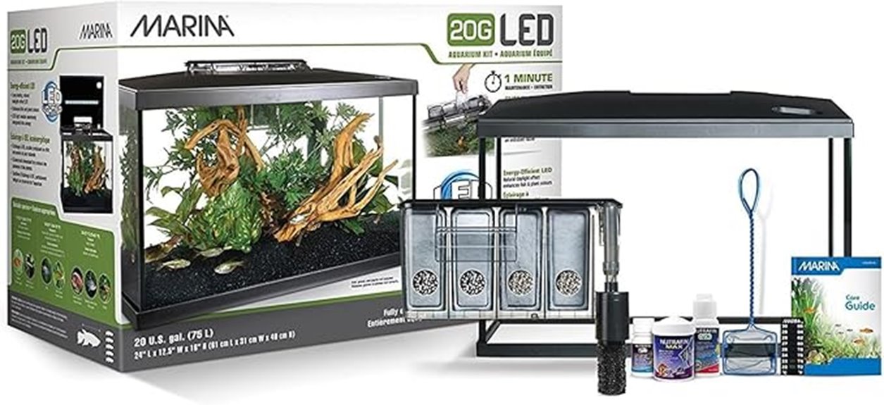 20 gallon led fish tank