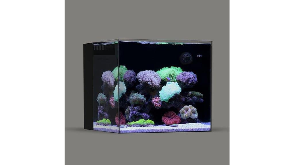 45 pound rimless aquarium