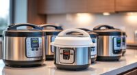affordable multi cooker options