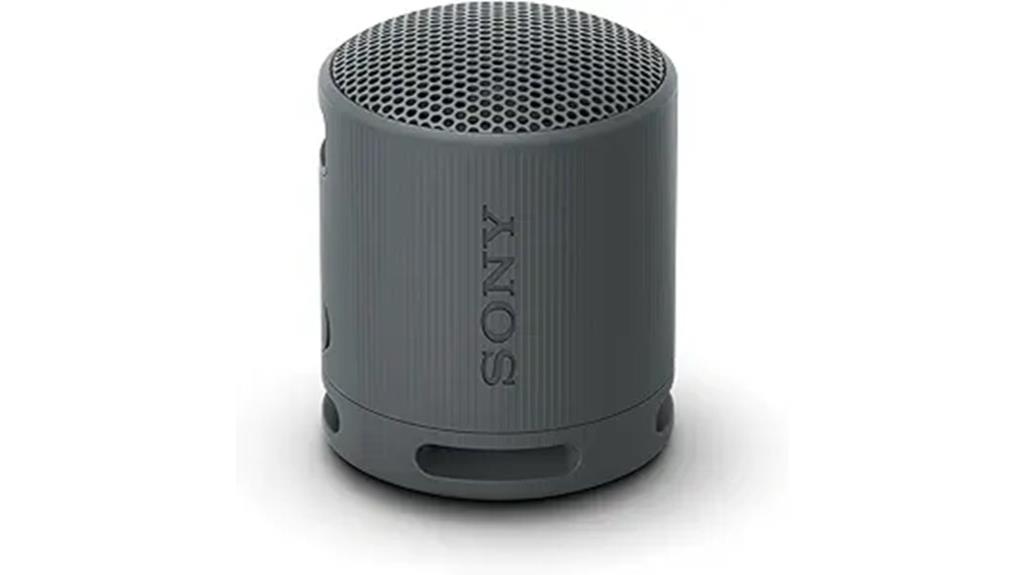 compact portable wireless speaker