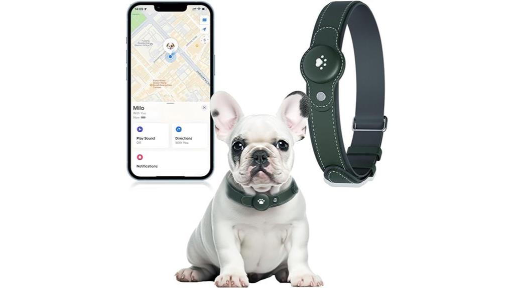 dog gps with smart collar