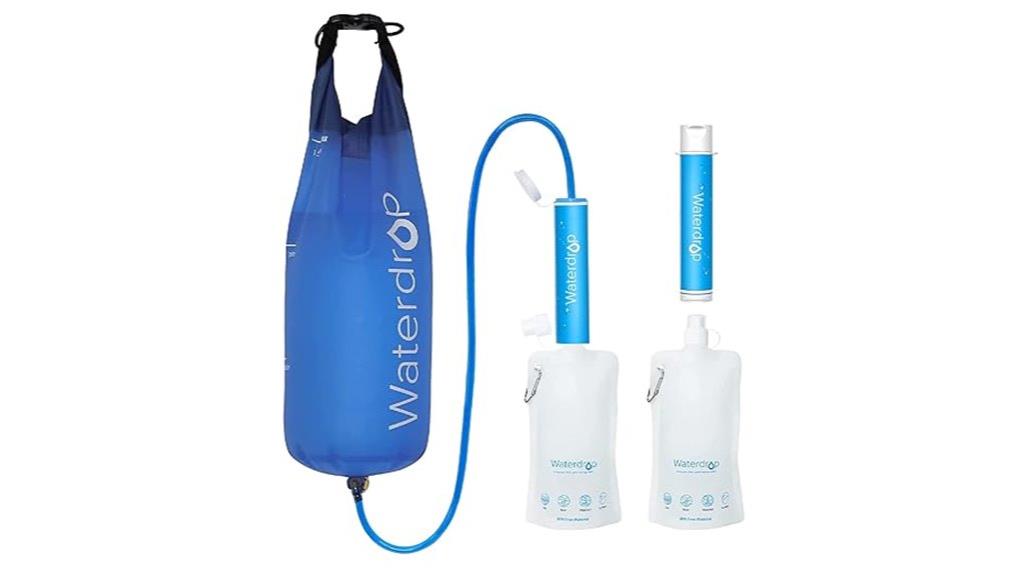 dual portable water filters