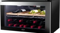 dual zone countertop wine coolers