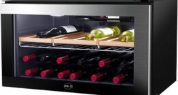 dual zone countertop wine coolers