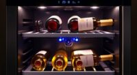 dual zone wine fridge options