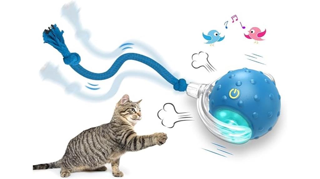 engaging ball toy for cats