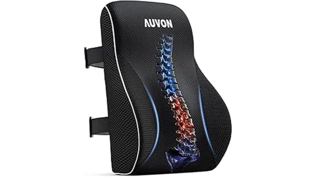 ergonomic office lumbar pillow