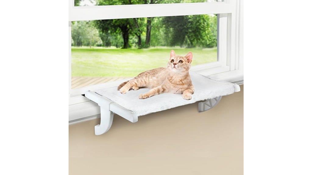 indoor window sill perch