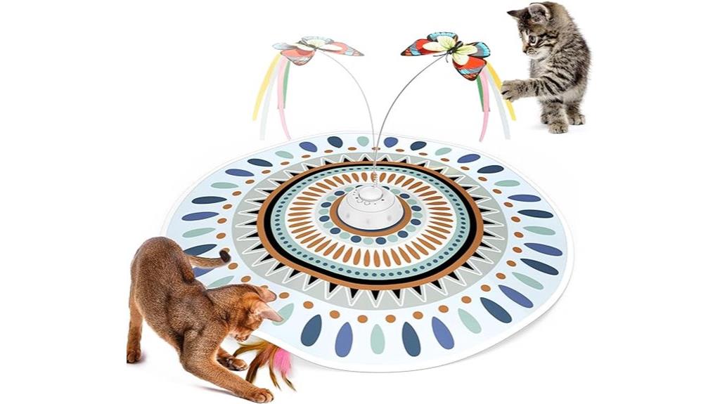interactive cat toy set
