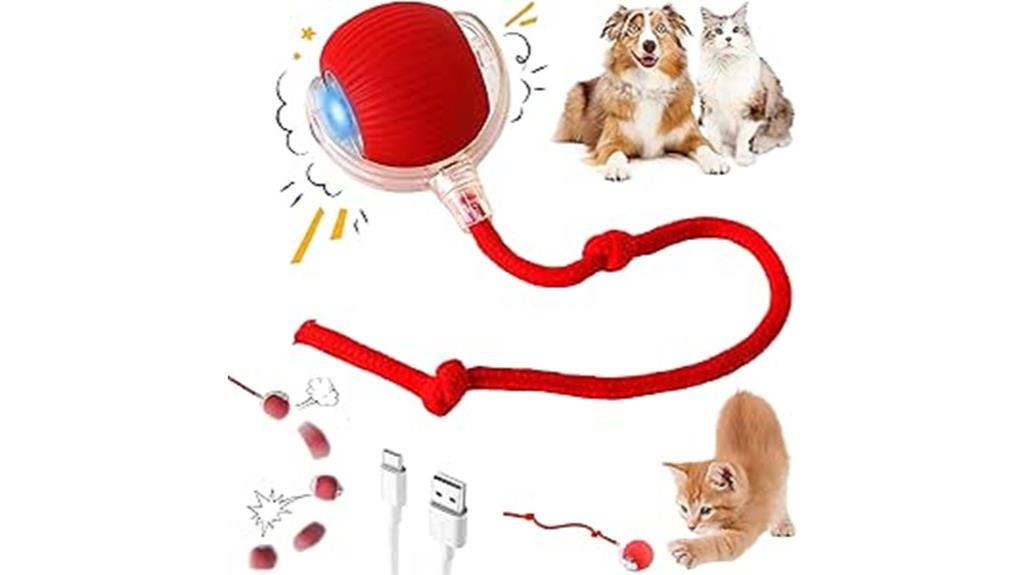 interactive pet toy set