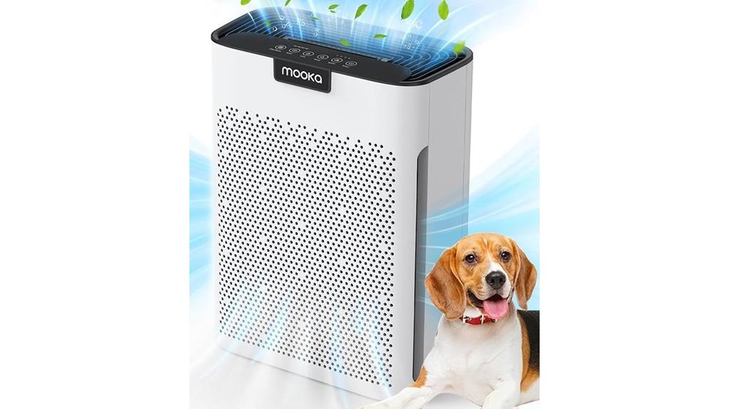 large home room air purifier