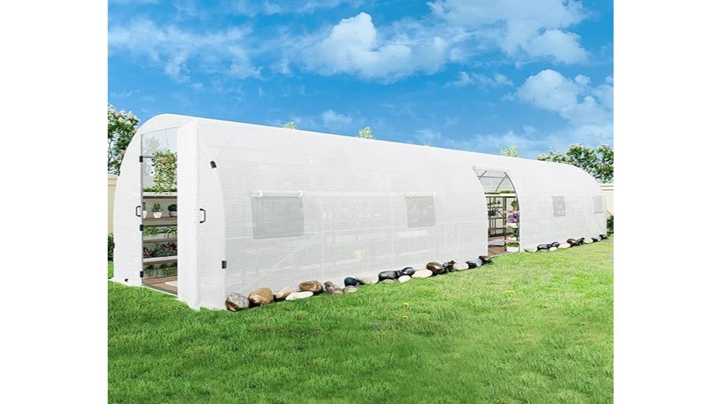 large rectangular tunnel greenhouse