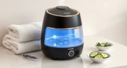 luxury facial steamers guide