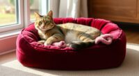luxury orthopedic cat beds