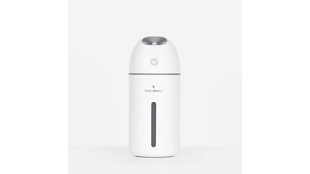 portable dewy mist humidifier