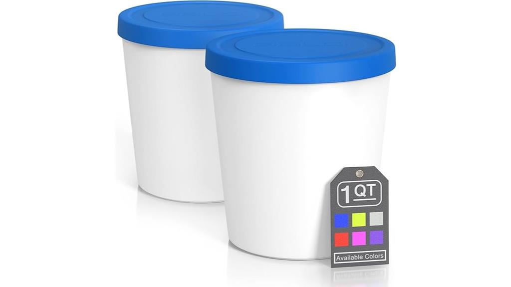 premium 2 pack ice cream containers