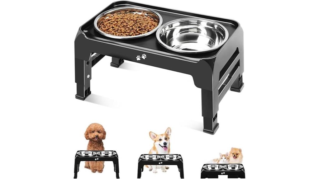 raised bowls for pets