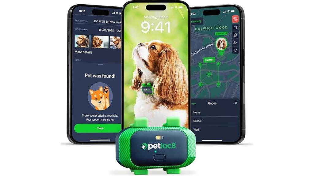 real time dog tracking system