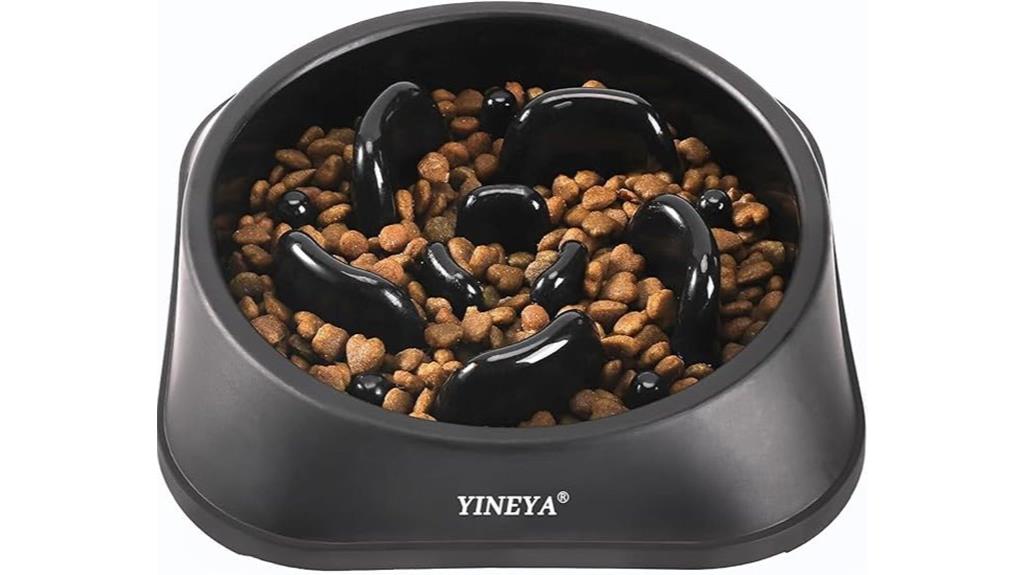 slow feeding dog bowl
