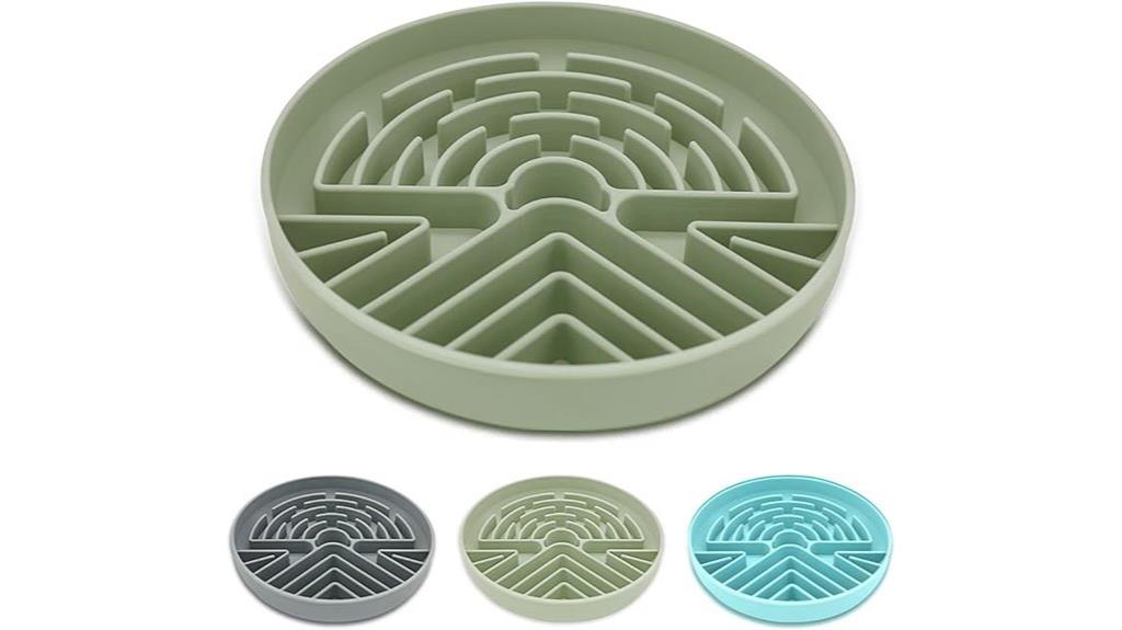 slow feeding dog bowl