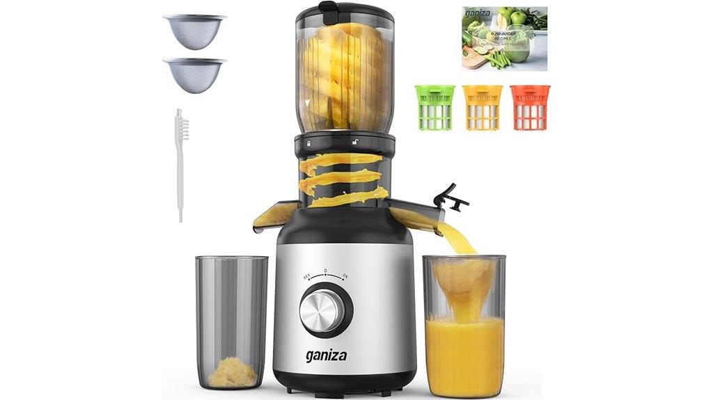 slow fruit and vegetable juicer