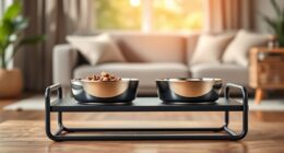 stylish elevated dog bowls
