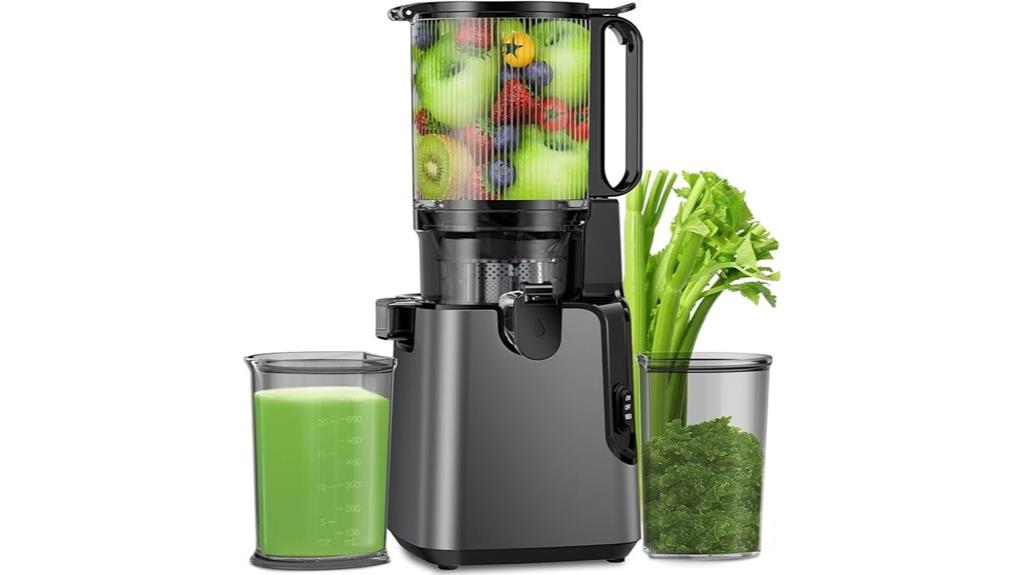 titanium gray juicer machine