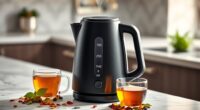 top electric kettles for precision