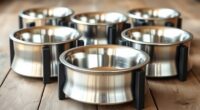 top elevated dog bowl options