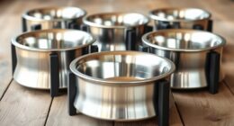 top elevated dog bowl options