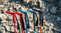 top hiking pole recommendations