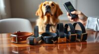 top humane training collar reviews