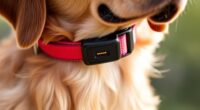 top non subscription gps collars