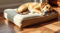 top orthopedic pet mattress options