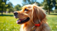 top pet gps trackers 2025