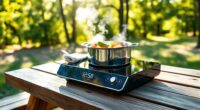 top portable induction cookers