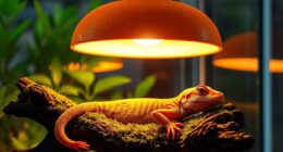 top reptile heat lamp picks