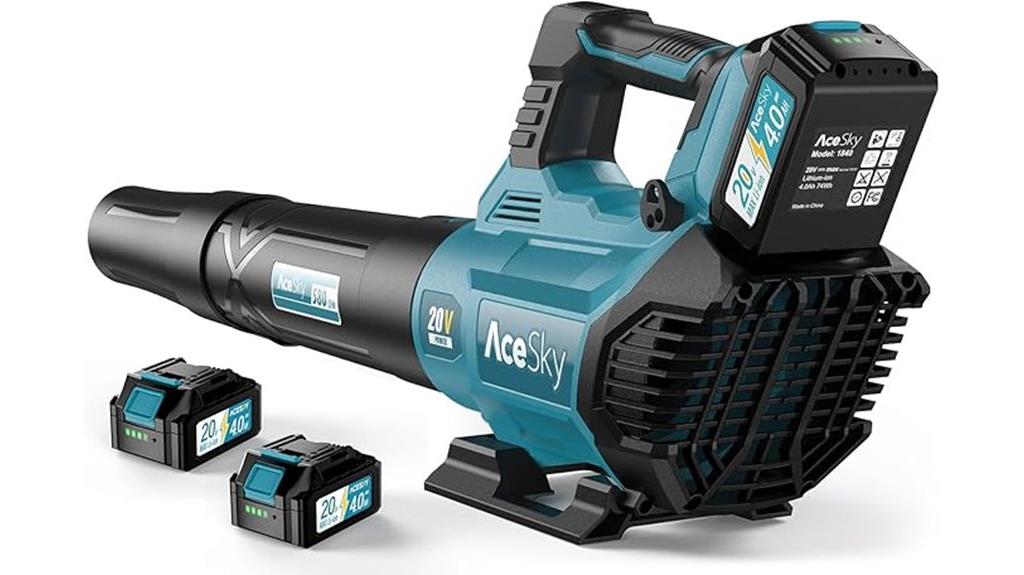 wireless blower with batteries