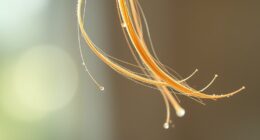 hair moisture absorption levels